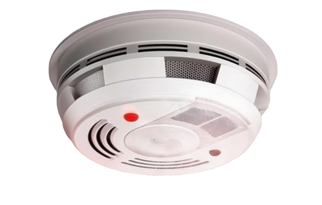 1755668349223745306q.png 885.png